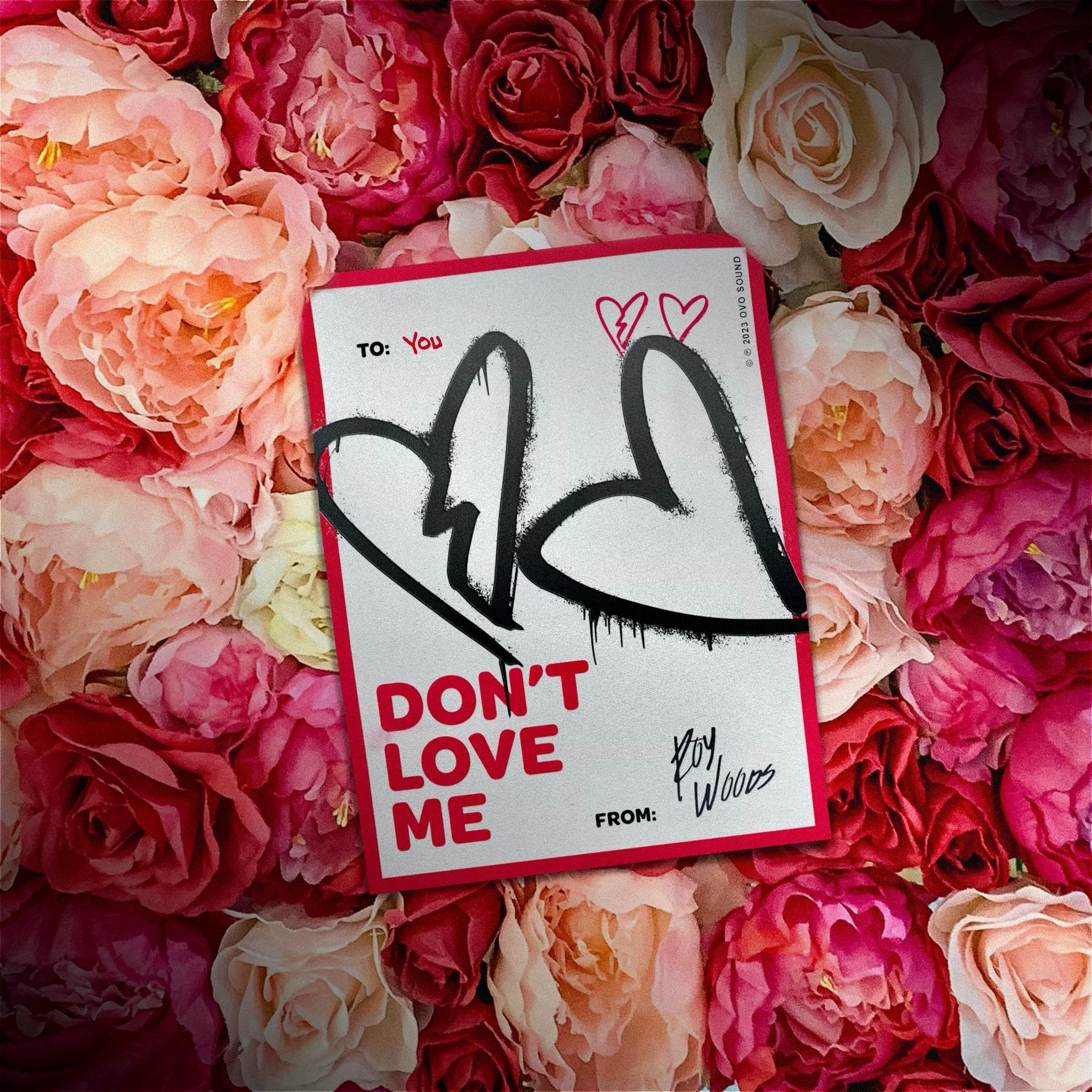 Roy Woods Doesn’t Want to be Loved in Newest Post-Valentine’s Day Visual “Don’t Love Me”